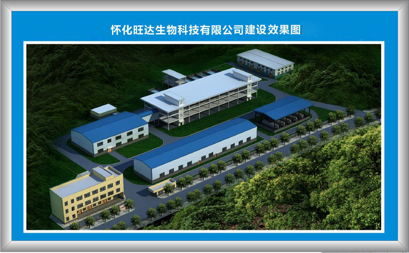 开云网页版登录入口